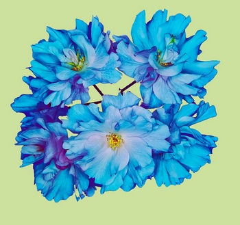 F 055A